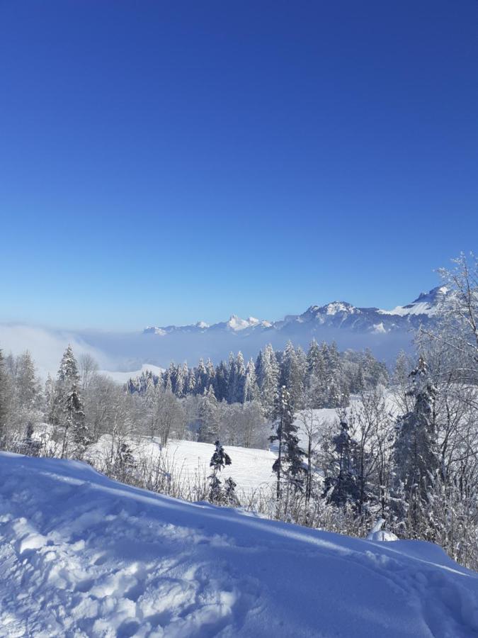 Charmant Appartement A 150 M Des Thermes Et Du Centre Ville Thonon-les-Bains Bagian luar foto
