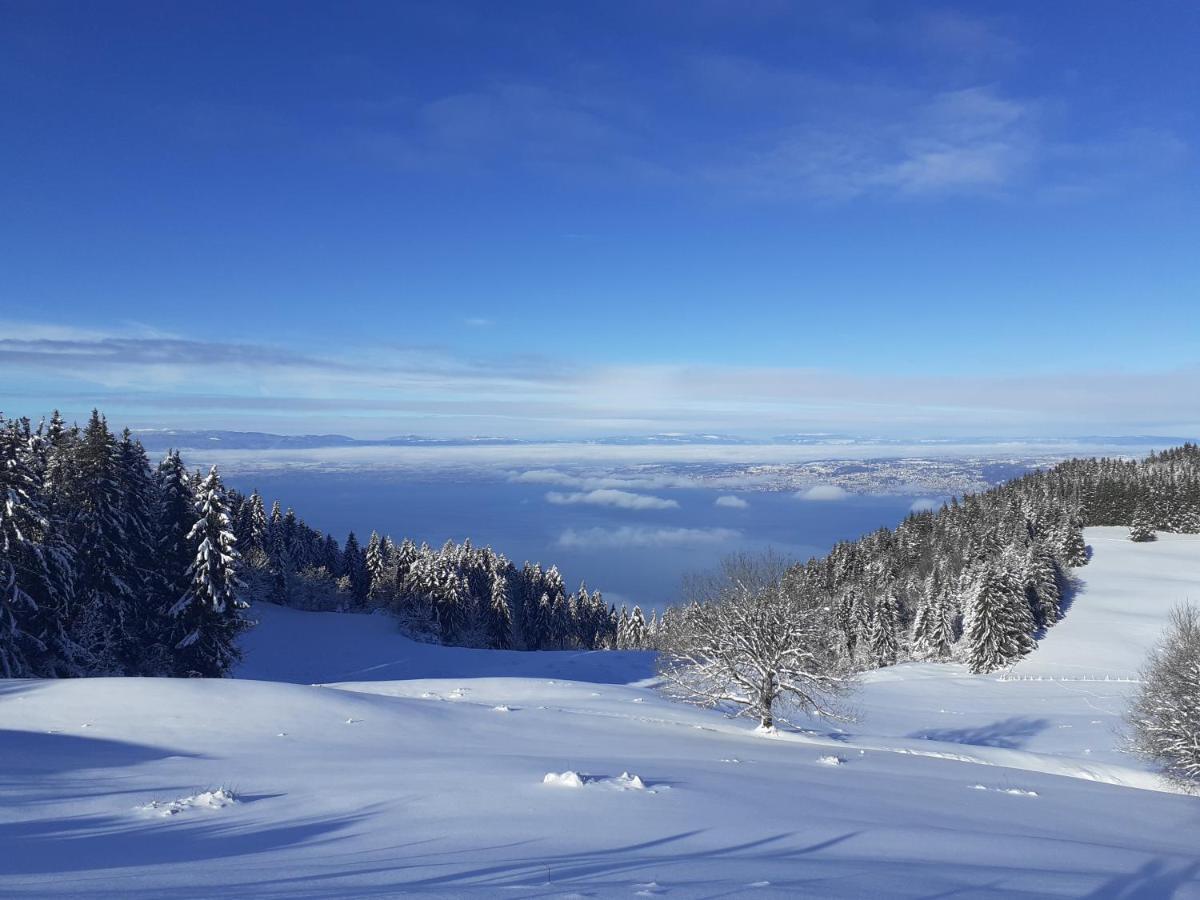 Charmant Appartement A 150 M Des Thermes Et Du Centre Ville Thonon-les-Bains Bagian luar foto