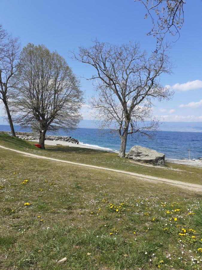 Charmant Appartement A 150 M Des Thermes Et Du Centre Ville Thonon-les-Bains Bagian luar foto
