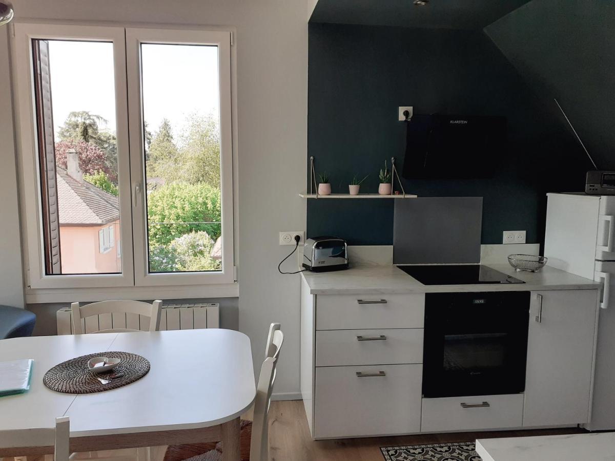 Charmant Appartement A 150 M Des Thermes Et Du Centre Ville Thonon-les-Bains Bagian luar foto